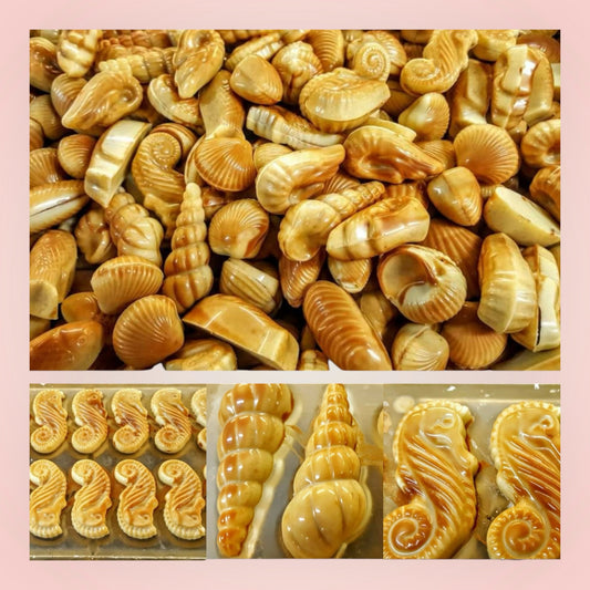 Artisanale zeevruchten met wit gemarmerde, melk of pure chocolade