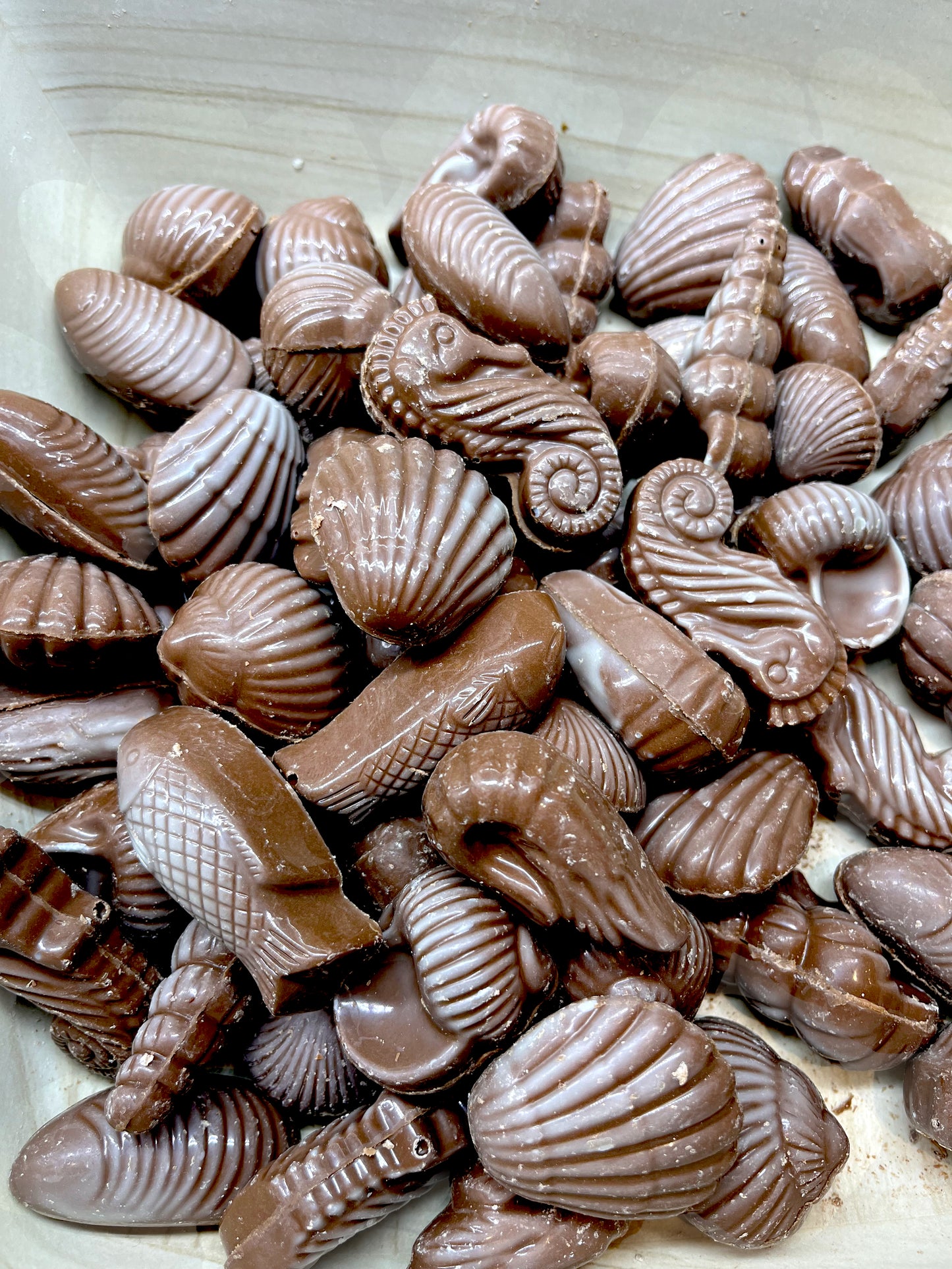 Artisanale zeevruchten met wit gemarmerde, melk of pure chocolade