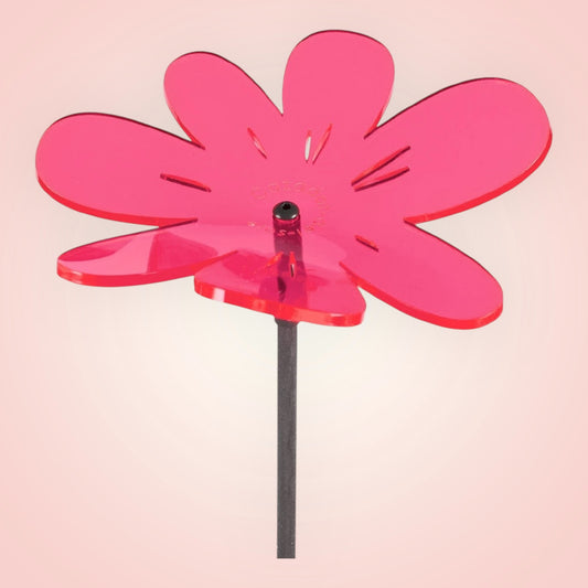 Zonnenvanger Cazador del sol Lucy Bloem gebogen Nea rood