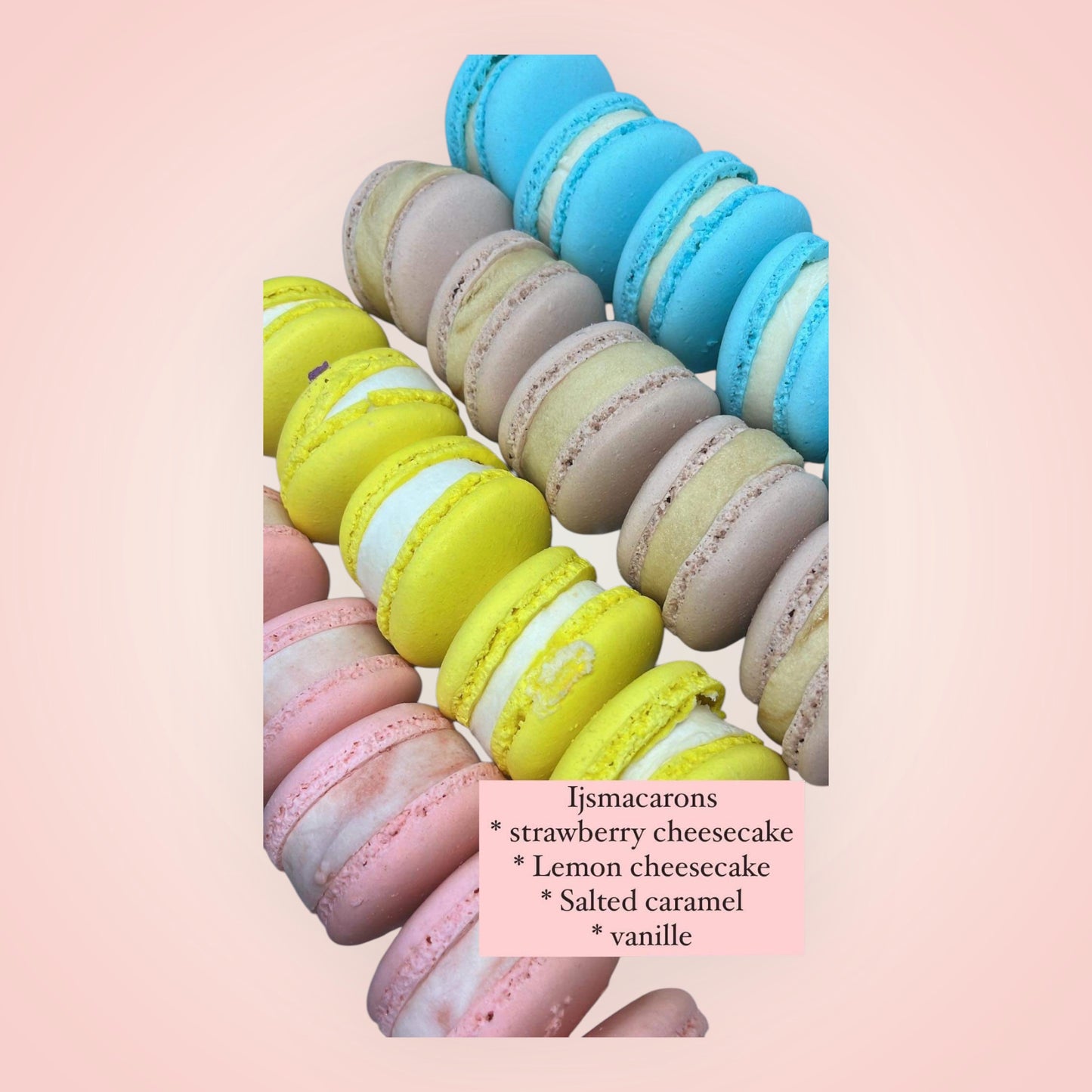IJS macarons OP BESTELLING