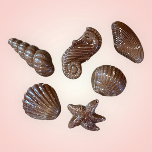 Suikervrije artisanale zeevruchten