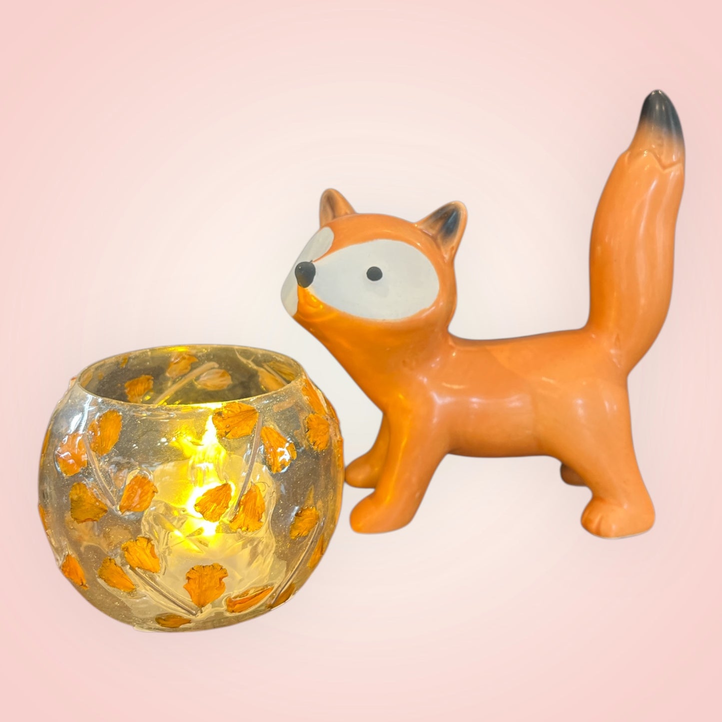 Kleine en Grote Vos Gerard 🦊