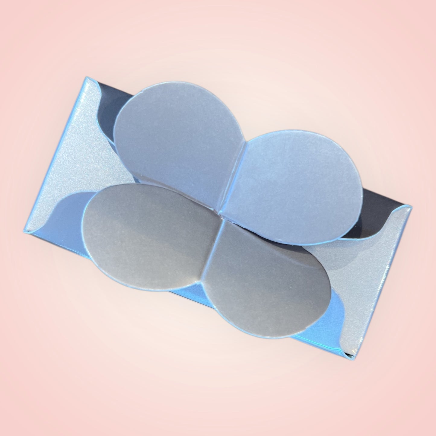 Mini Ballotin – 2 Stuks Artisanale Pralines