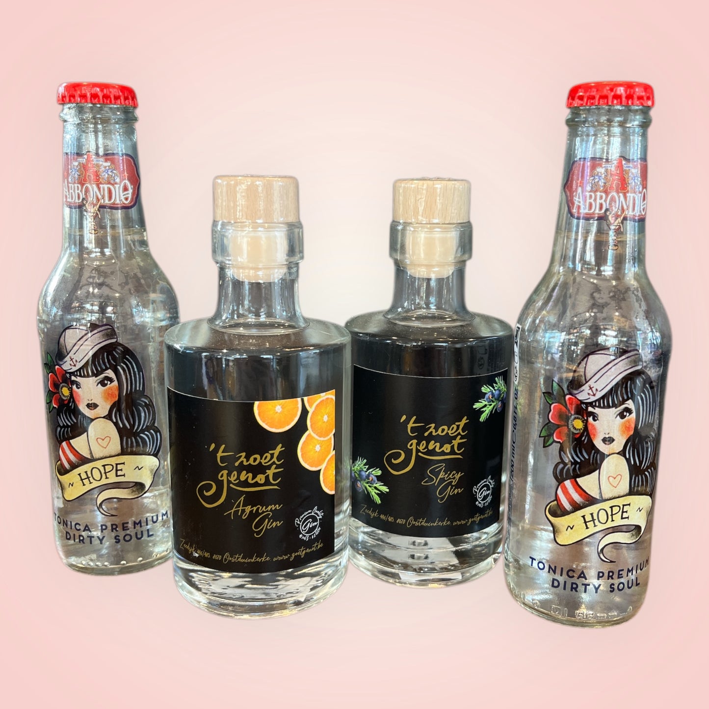 🍸 Feestelijk Gin-Tonic Pakket