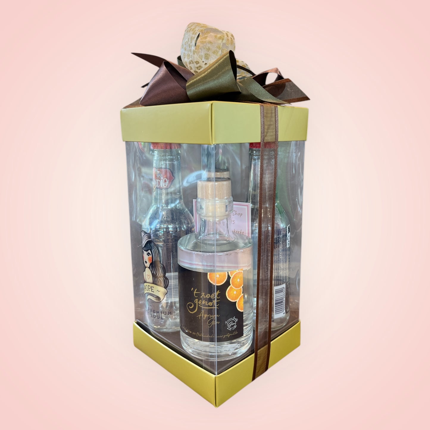 🍸 Feestelijk Gin-Tonic Pakket