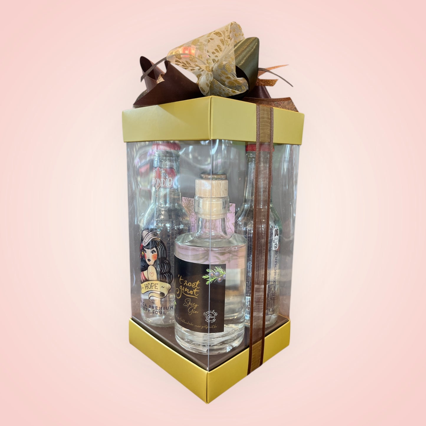 🍸 Feestelijk Gin-Tonic Pakket