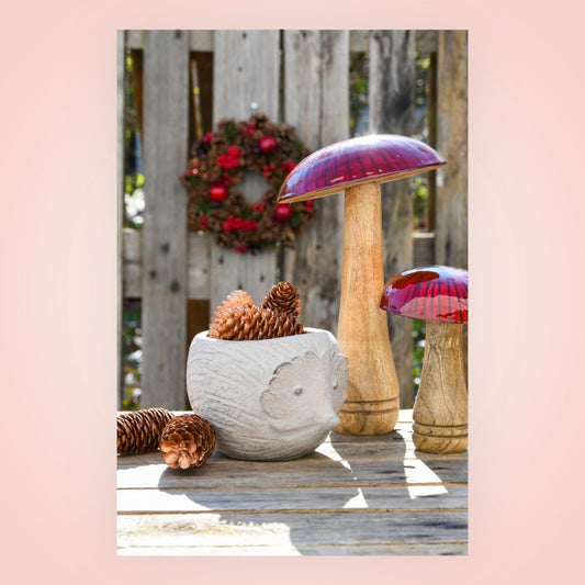 Paddenstoel Ruby Red