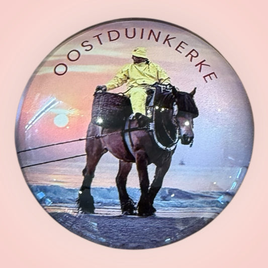 Magneet paardenvisser plexi