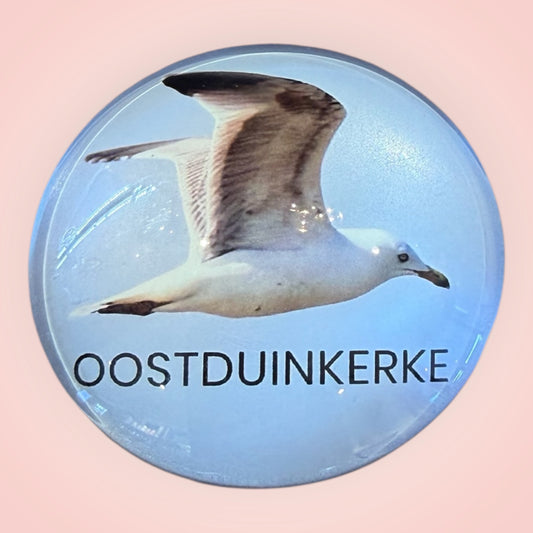 Magneet meeuw